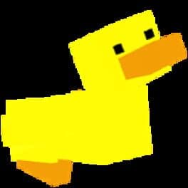 Feed Some Ducks