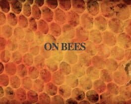 On Bees