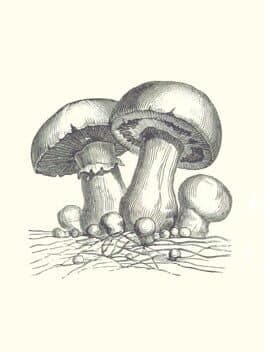 Acephalus