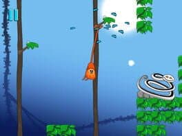 Rin the Tamarin