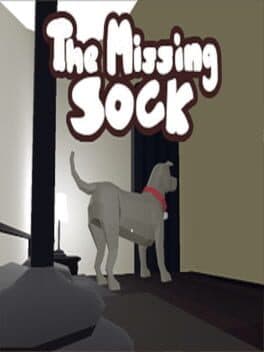 The Missing Sock