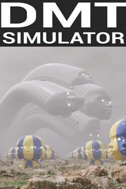 DMT Simulator