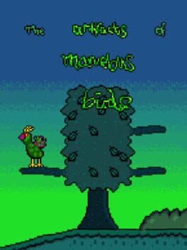 The Artifacts of Marvelous Birds