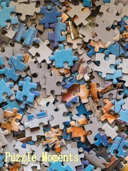 Puzzle Moments