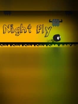 Night Fly
