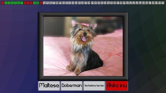 Test your knowledge: Dogs — screenshot 3