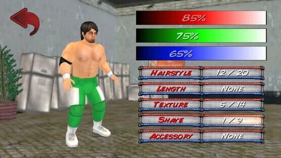 Wrestling Revolution 3D — screenshot 2