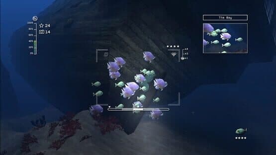Reef Shot — screenshot 3