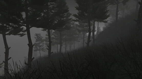 Lost in Nature — screenshot 4