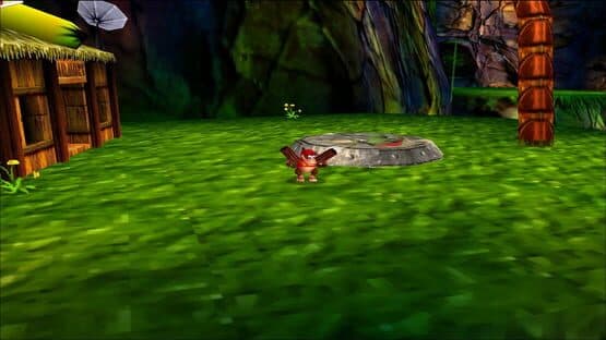 Donkey Kong 64 — screenshot 1