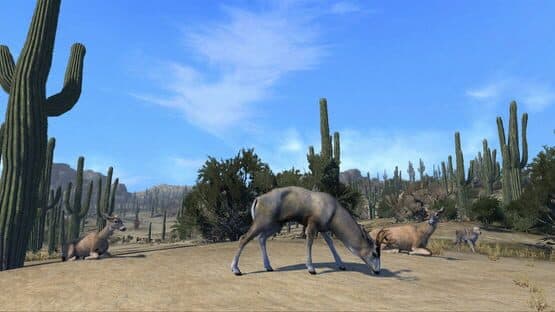 Cabela's Big Game Hunter: Pro Hunts — screenshot 4