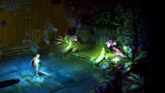 Trine 2 — screenshot 5