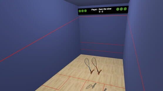 VR Squash 2017 — screenshot 3