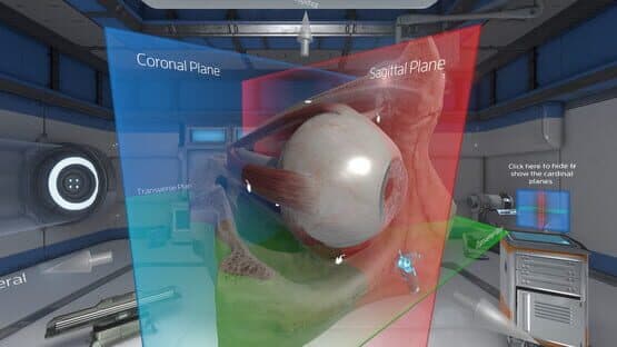 The Physiology of the Eye — screenshot 3
