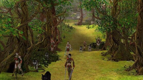 SpellForce: The Order of Dawn — screenshot 1