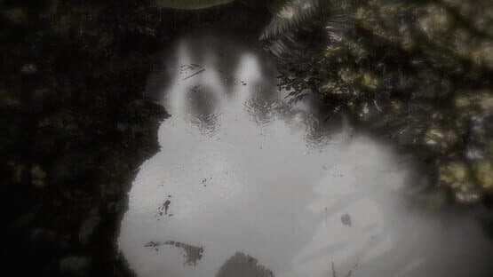 Reflecting Fate — screenshot 1