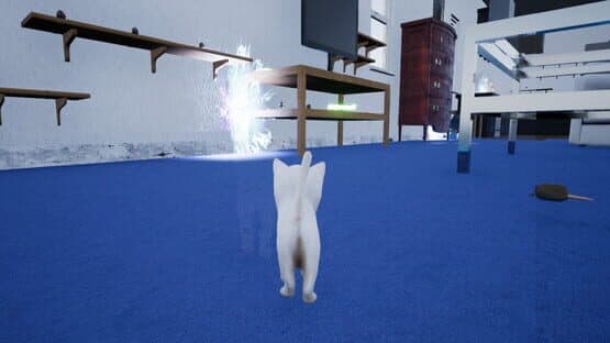 Kitten Madness — screenshot 1