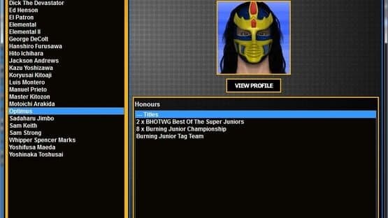 Total Extreme Wrestling 2013 — screenshot 5