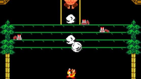 Donkey Kong 3 — screenshot 3