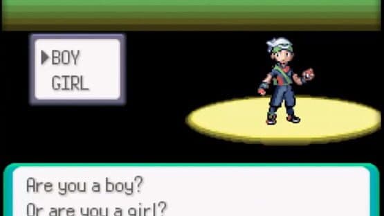 Pokémon Emerald Version — screenshot 2