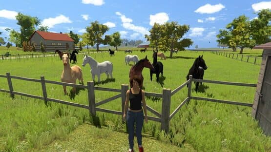 My Little Riding Champion — screenshot 4