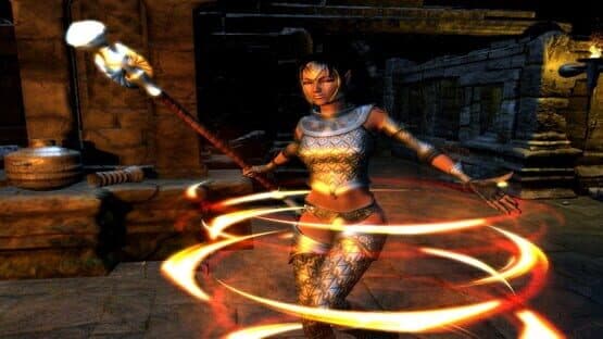 Sacred 2 Gold — screenshot 4