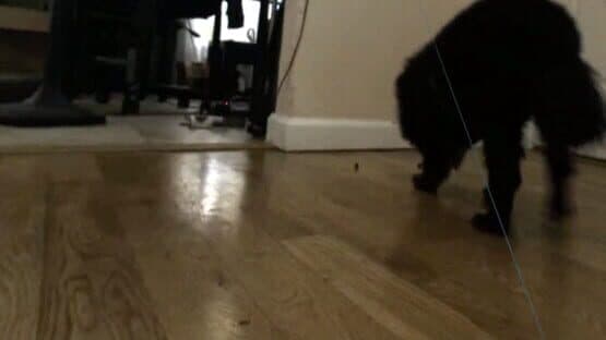 GonzoVR — screenshot 1