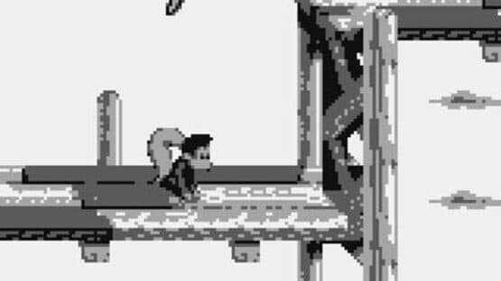 Donkey Kong Land III — screenshot 8