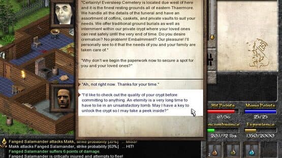 Eschalon: Book I — screenshot 1
