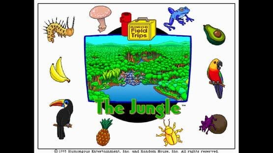 Let's Explore the Jungle — screenshot 1