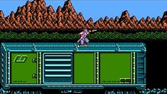 Ninja Gaiden II: The Dark Sword of Chaos — screenshot 1