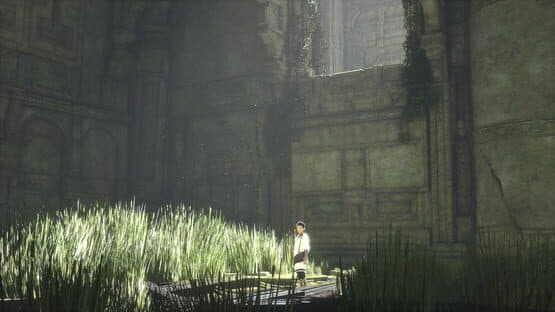 The Last Guardian — screenshot 1