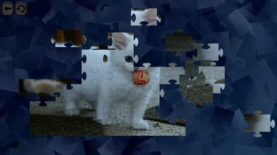 Puzzles for smart: Cats — screenshot 5