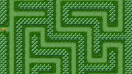 Maze Quest 1: The Forest — screenshot 1