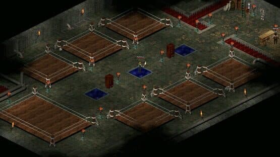 Astonia Reborn — screenshot 3