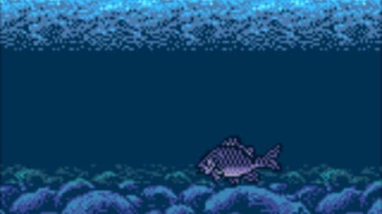 Legend of the River King 2 — screenshot 5
