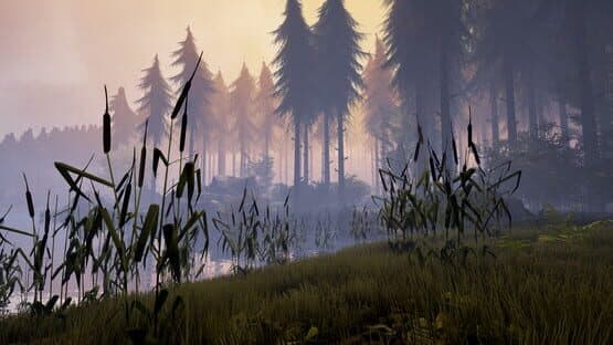 Bigfoot — screenshot 4