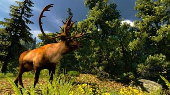 Cabela's Hunting Expeditions — screenshot 4