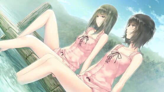 Flowers: Le Volume sur Été — screenshot 8