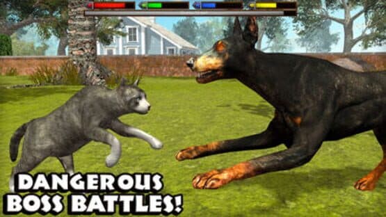 Ultimate Cat Simulator — screenshot 5