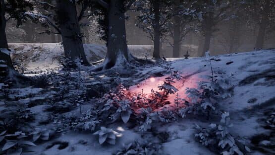Nephise — screenshot 1