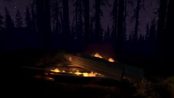 Fire Place — screenshot 7
