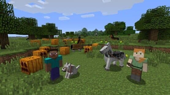 Minecraft: Wii U Edition — screenshot 5