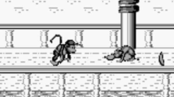Donkey Kong Land 2 — screenshot 4