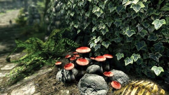 The Elder Scrolls V: Skyrim - Special Edition — screenshot 3