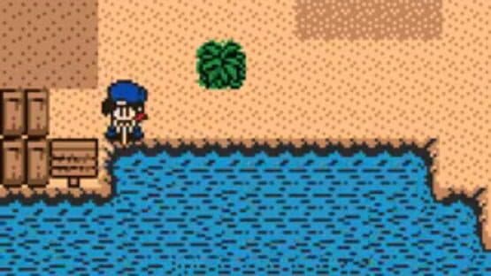Harvest Moon 2 GBC — screenshot 2