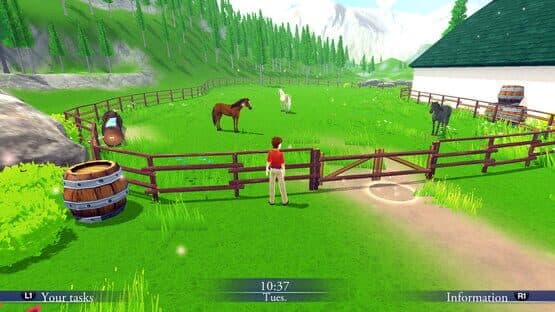My Riding Stables: Life with Horses 2 — screenshot 3