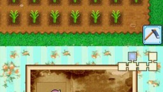Harvest Moon DS: Grand Bazaar — screenshot 8