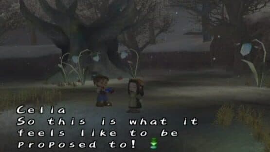 Harvest Moon: A Wonderful Life — screenshot 5