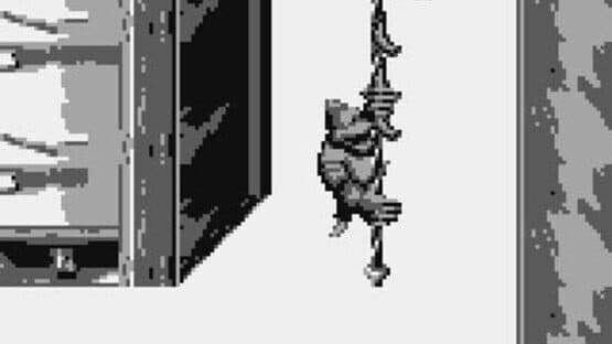 Donkey Kong Land III — screenshot 2